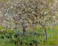 Monet, Claude Oscar - Apple Trees in Bloom at Giverny